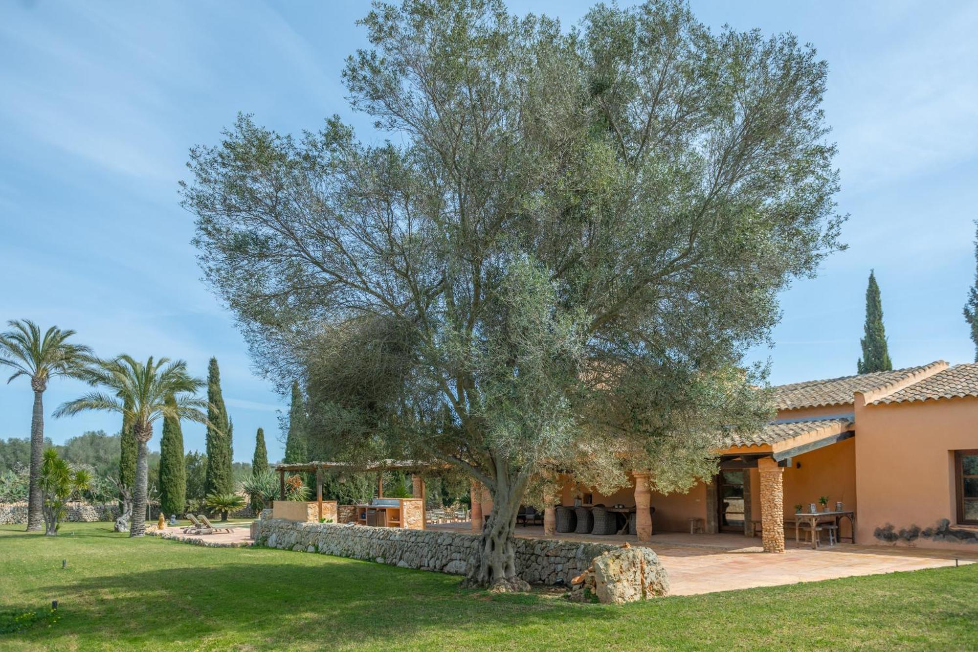 Son Mut Vakantiehuis